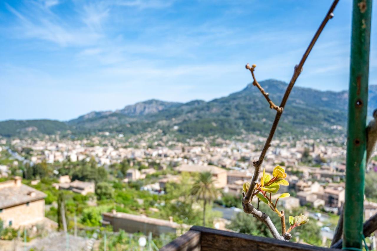 Can Jaumins Sóller Extérieur photo